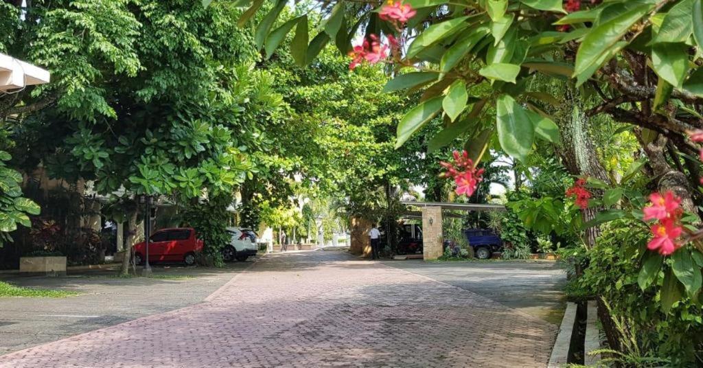 Hotel Sulawesi Jembel Exteriér fotografie